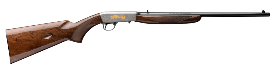 Browning Semi-Auto 22 LR Rifle