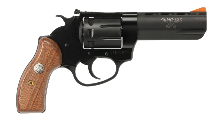 Charter Arms Pathfinder II .22 LR Revolver – Black