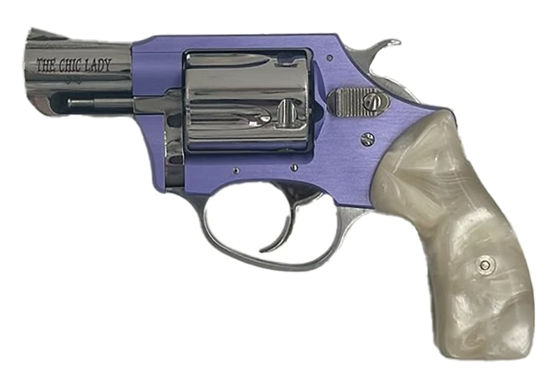 Charter Arms Chic Lady .38 Special Revolver – Stainless