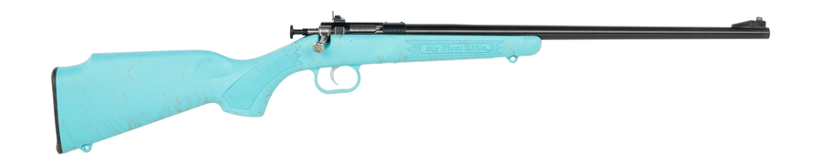 Keystone Sporting Arms Crickett .22 LR Rifle – Blue with Gold Webbing/Blued