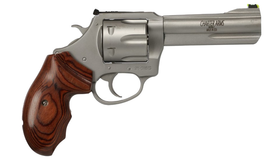 Charter Arms The Professional VI .357 Magnum Revolver