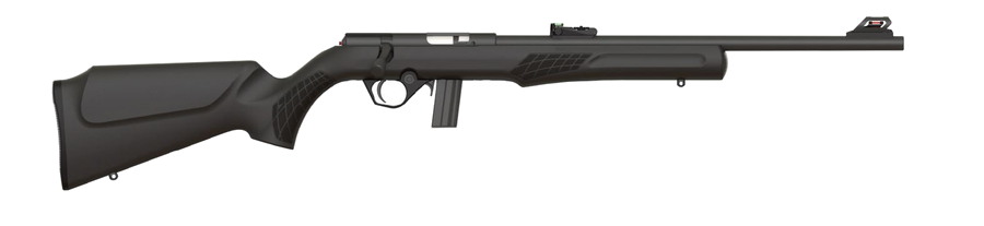 Rossi Rb22 .22 LR Rifle