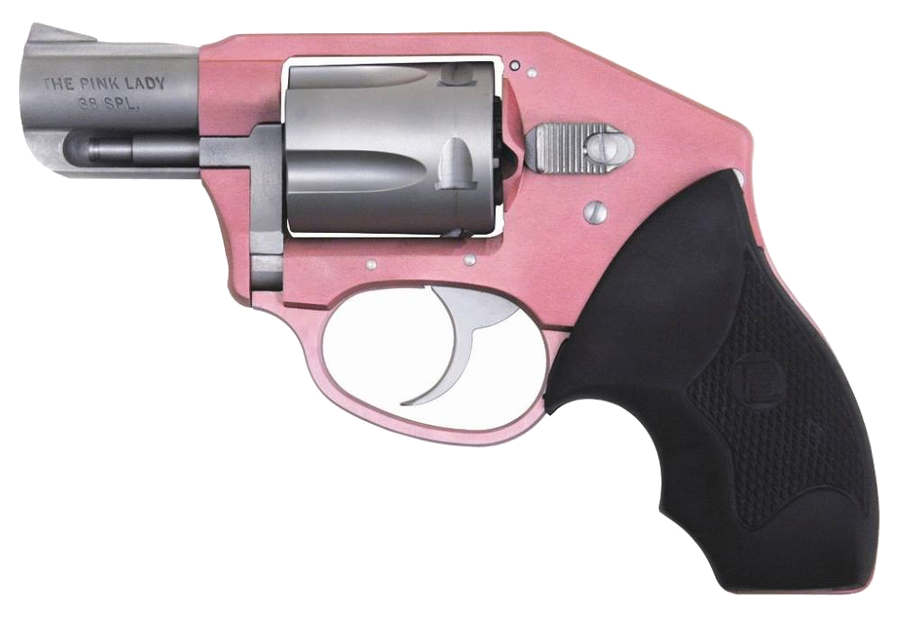 Charter Arms Lady Off Duty .38 Special Revolver