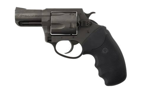Charter Arms Pitbull .40S&W Revolver – Nitride