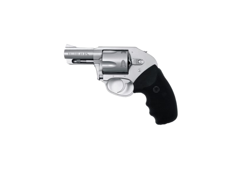 Charter Arms Bulldog on Duty .44 Special Revolver