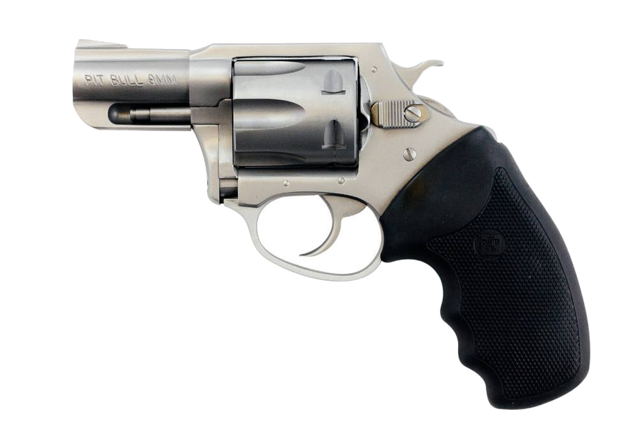 Charter Arms Pitbull 9mm Revolver – 2" Barrel