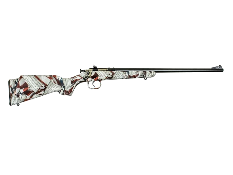 Keystone Sporting Arms Crickett .22 LR Rifle – Amendment/Blued