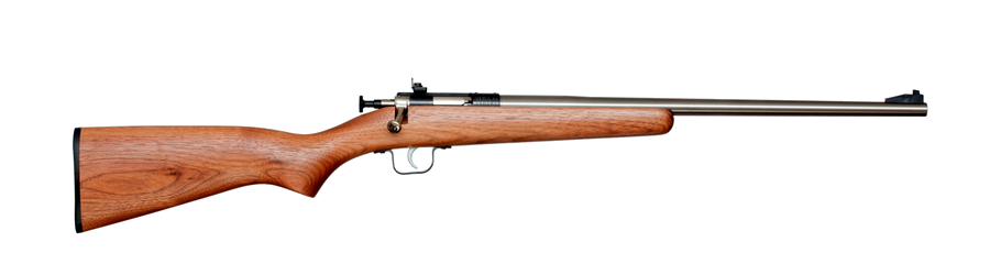 Keystone Sporting Arms Crickett .22 LR Rifle
