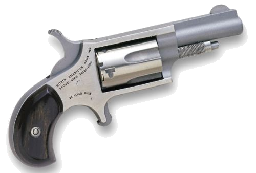 North American Arms Mini-Revolver .22 LR
