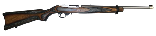 Ruger 10/22 Standard Carbine .22 LR Rifle