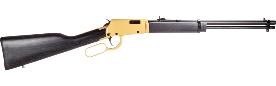 Rossi Rio Bravo .22 LR Rifle – Gold