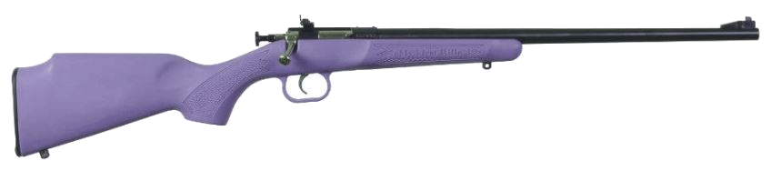 Keystone Sporting Arms Crickett .22 LR Rifle – Purple Synthetic/Blued