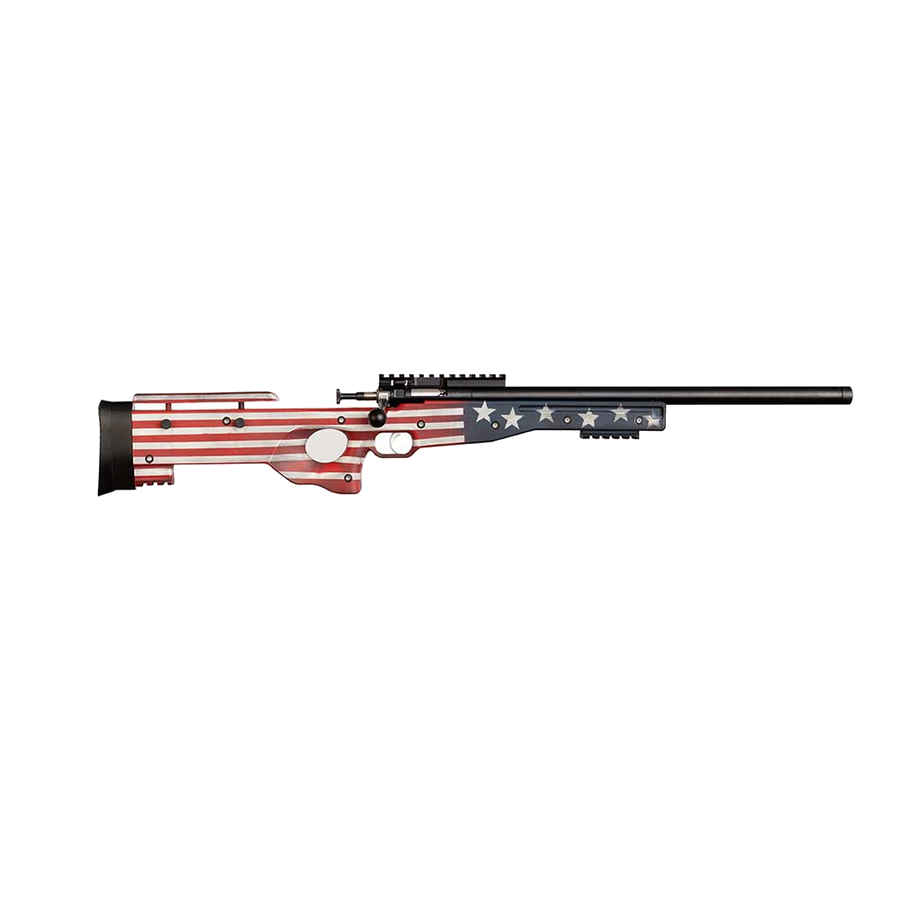Keystone Sporting Arms Crickett Precision .22 LR Rifle – Flag Cerakote