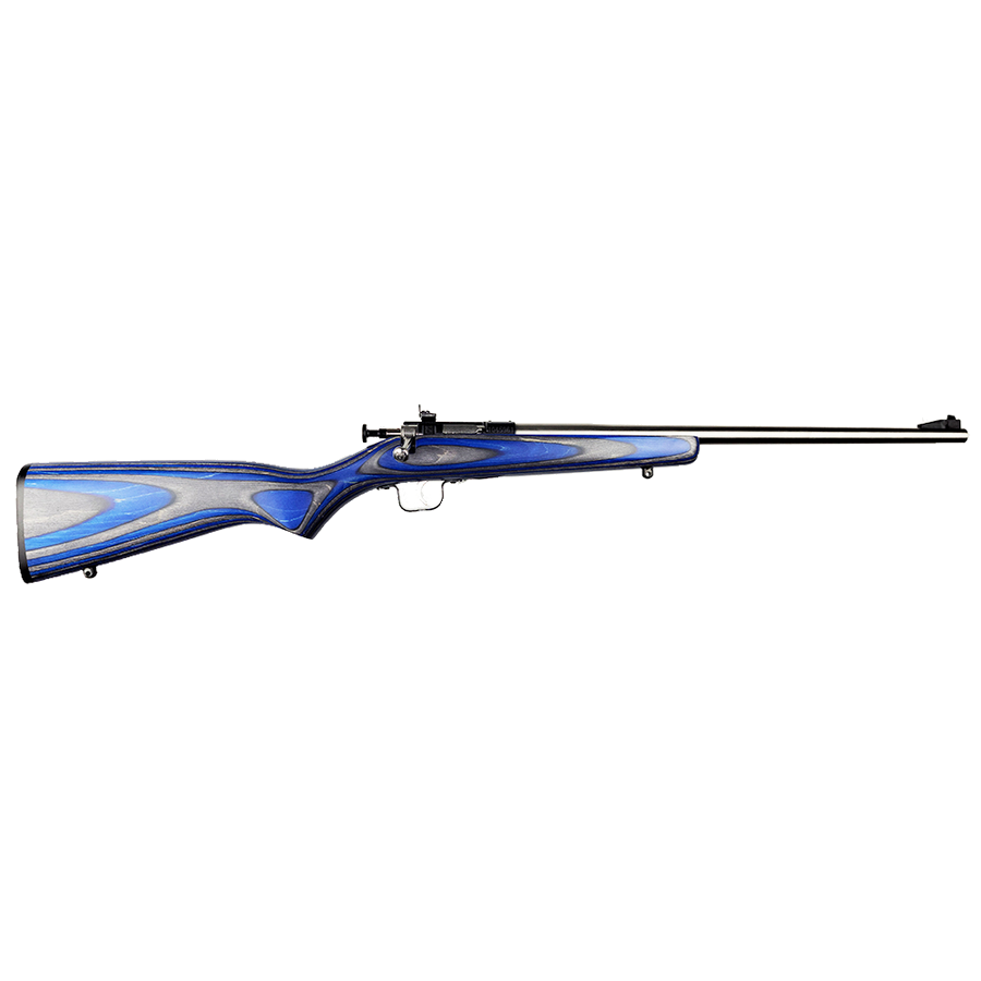 Keystone Sporting Arms Crickett .22 LR Rifle – Blue Laminate/Stainless