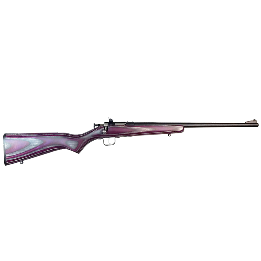 Keystone Sporting Arms Crickett .22 LR Rifle – Purple Laminate/Blued