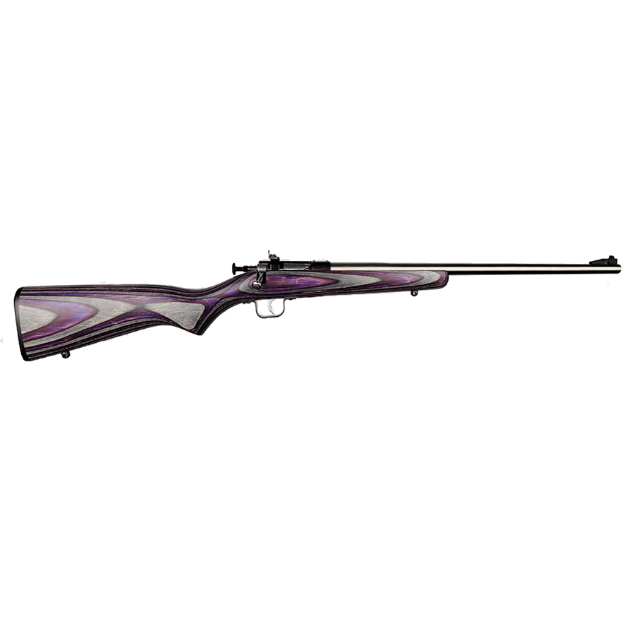 Keystone Sporting Arms Crickett .22 LR Rifle – Purple Laminate/Stainless