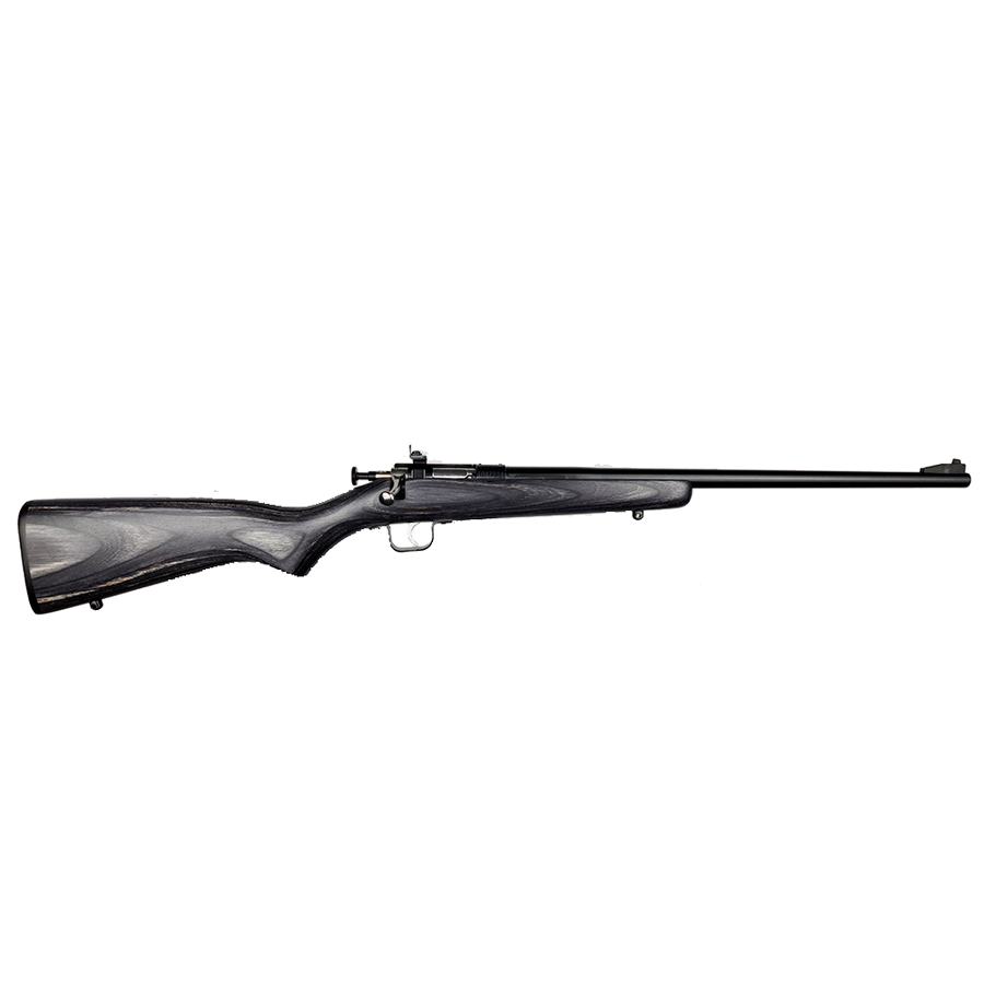 Keystone Sporting Arms Crickett .22 LR Rifle – Black Laminate/Blued