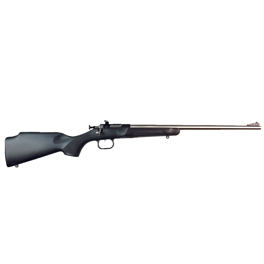 Keystone Sporting Arms Crickett .22 LR Rifle – Black Synthetic/Stainless