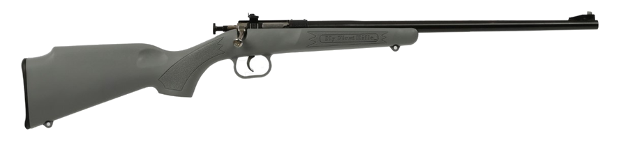 Keystone Sporting Arms Crickett .22 LR Rifle – Gray Synthetic/Grey
