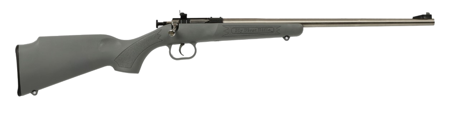 Keystone Sporting Arms Crickett .22 LR Rifle – Gray Synthetic/Stainless