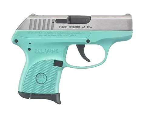 Ruger Lcp .380 ACP Pistol – Stainless