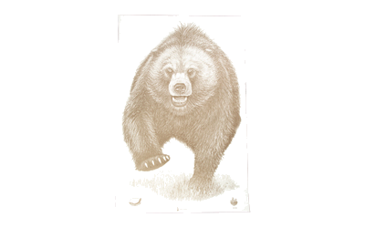 Action Target AK State Park Bear 100-Pack