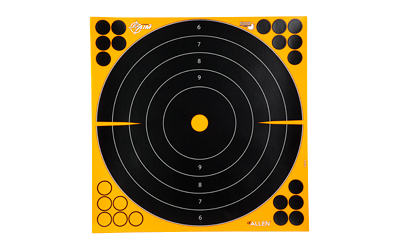 Allen EZ Aim Splash 12"bullseye 10-Pack