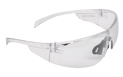 Allen Protector Safety Glasses Clear
