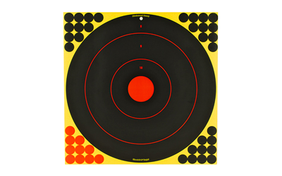 Birchwood Casey Shoot-N-C Bullseye Target 5-17.25"