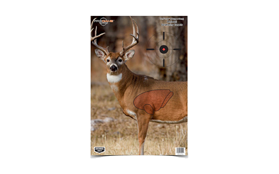 Birchwood Casey Pregame Deer Target 3-16.5x24
