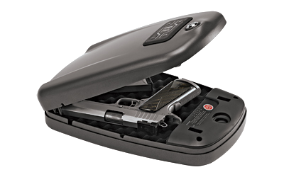 Hornady Hrndy Security Rapid Safe 2700kp XL