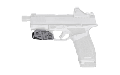 Viridian Weapon Technologies CTL Custom for Hellcat 525l