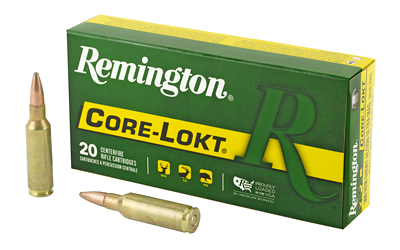 Remington 300rsaum 165 Grain Ammunition – 20 Rounds