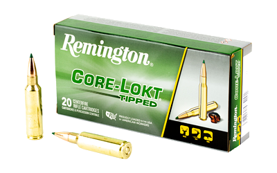 Remington 300 WSM 150 Grain Ammunition – 20 Rounds