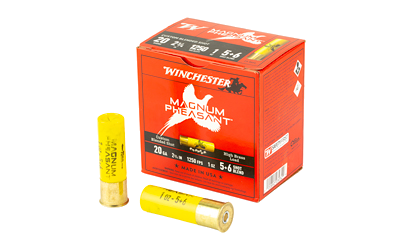 Winchester Phst 20 Gauge Ammunition – 25 Rounds