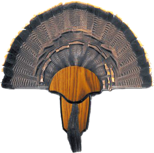 Hunters Specialties Strut Mounting Kit Turkey Tail & Beard