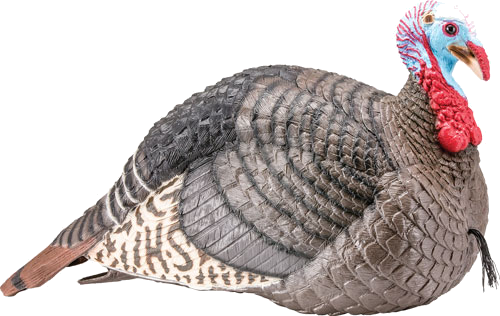 Hunters Specialties Strut Turkey Decoy Jake Strut-Lite