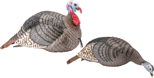 Hunters Specialties Strut Turkey Decoy Combo Hen/Jake Strut-Lite