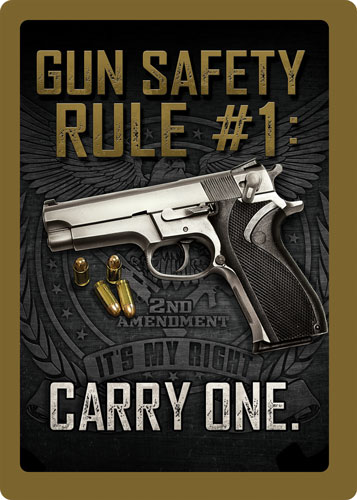 Rivers Edge Sign 12"x17" "GUN Safety"