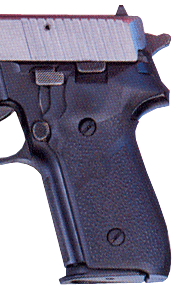 Hogue Grips Sigarms P228 & P229 Rubber Panels Grip