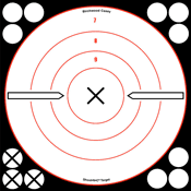Birchwood Casey Target Shoot-N-C 8" White/ X-Bull'S-Eye 6 Targets