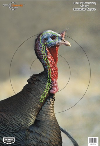 Birchwood Casey Pregame Turkey Target 8-12x18