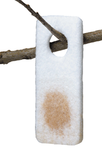 Wildlife Research Scent Wick Pro Wick 4-Pack