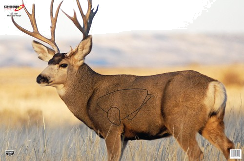 Birchwood Casey Eze-Scorer 23"X35" Mule Deer 2 Target