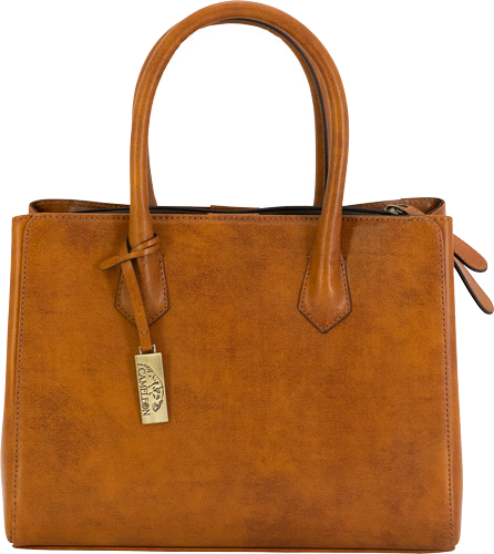 Cameleon Natalie Purse Concealed Carry Bag Tan