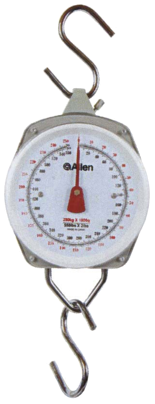 Allen Scale 550 lb