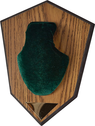 Allen Antler Mounting Kit Green