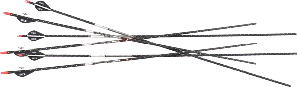 Easton Arrow Fmj 5mm 400 with 2" Blazer Vanes 6-Pack