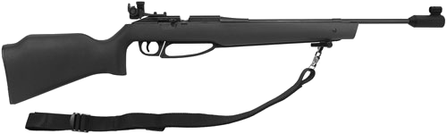Daisy Avanti 753s Match Grade Air .177 Pellet Air Rifle