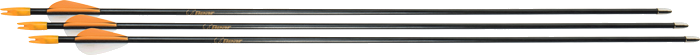 Bear Archery Youth Safetyglass Arrows 28" 3-Pack